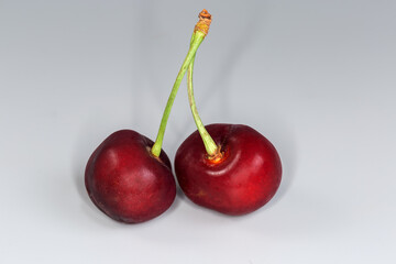 Dark red sweet cherries on stems on a gray background