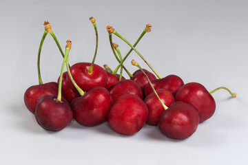 Dark red sweet cherries on stems on a gray background