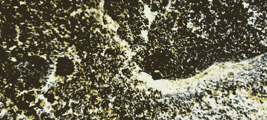 Colorful abstract background . Digital image with a psychedelic stripes. Argent base for website, print, basis for banners, wallpapers, business cards, brochure, banner