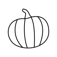 Hand drawn illustration of autumn pumpkin. 