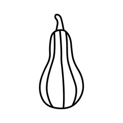 Hand drawn illustration of autumn pumpkin. 