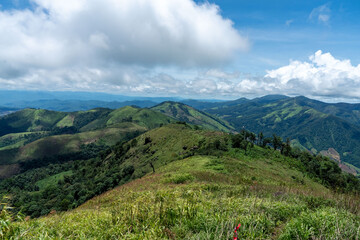 Fototapeta premium Lush green meadows stretch towards snow-capped peaks under a bright summer sky with fluffy clouds