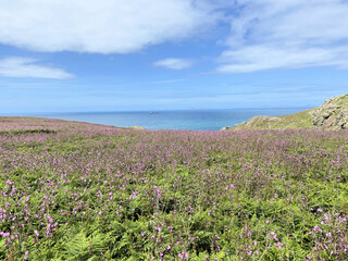 Obraz premium A view of the South Wales Coast at Skomer Island