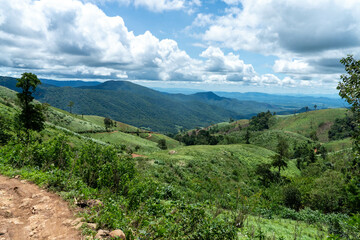 A scenic summer landscape unfolds beneath a bright blue sky with fluffy white clouds