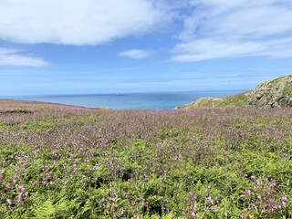 A view of the South Wales Coast at Skomer Island