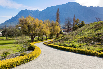 A photo of autumn leaves with winding road in Brandwacht, Worcester, South Africa