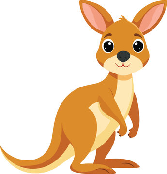 Male kangaroo isolated on white background. Big kangaroo full-lengths.