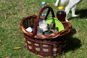 Summer Picnic Basket on Grass