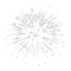 Fototapeta premium fireworks in the sky with transparent background