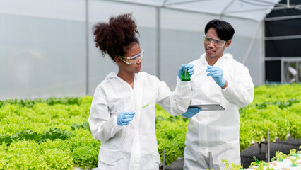 Two people in lab coats are looking at plants