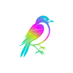 Flying bird logo with colorfull concept design