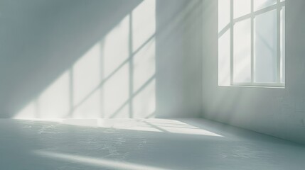 Obraz premium abstract. minimalistic background for product presentation. walls in large empty room. can full of sunlight. Loft wall or minimalist wall. Shadow, light from windows to plaster wall.