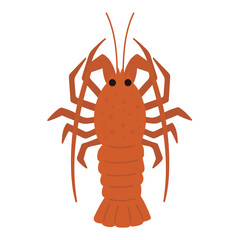 シンプルな伊勢えびのイラスト
