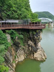 bridge over the river