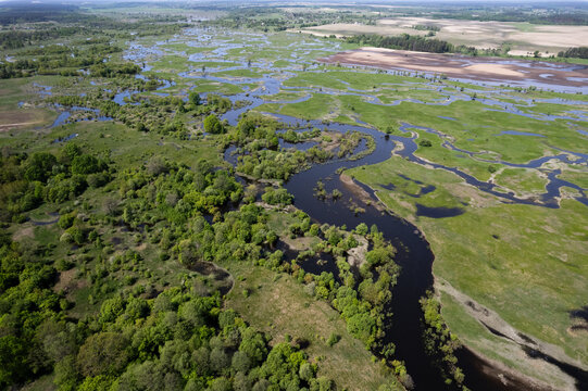 river flood, top view