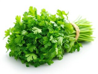 Obraz premium Parsley isolated on white background in minimalist style. Studio photography image. 