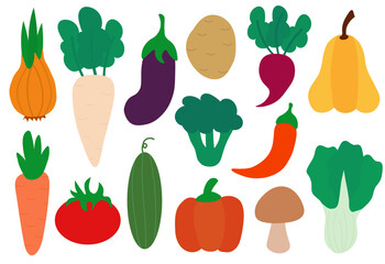 Set of vegetables. Concept of healthy food and products. Summer element for your design. Collection farm product. Vector flat cartoon illustration.