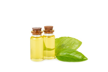Basil essential oil isolated on white background. Basil essential oil and fresh leaves. Aromatherapy. Aroma oil. Medical herbs. Alternative medicine. Place for text. Copy space.