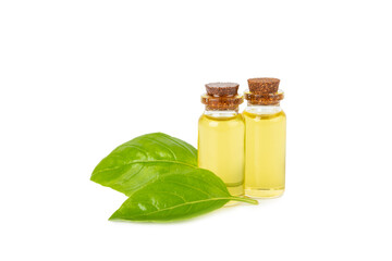 Basil essential oil isolated on white background. Basil essential oil and fresh leaves. Aromatherapy. Aroma oil. Medical herbs. Alternative medicine. Place for text. Copy space.