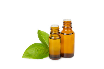 Basil essential oil isolated on white background. Basil essential oil and fresh leaves. Aromatherapy. Aroma oil. Medical herbs. Alternative medicine. Place for text. Copy space.