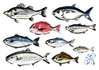 いろいろな手書きの魚の集合　和風筆書きの魚セット