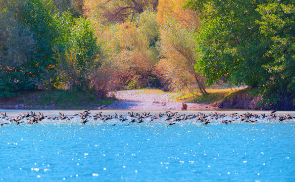 Munzur mount and national park, Munzur river in Ovacik - Tunceli, Turkey