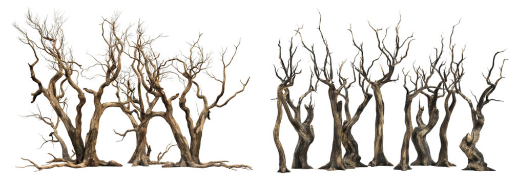 photorealistic rendering of several dead trees isolated on transparent background