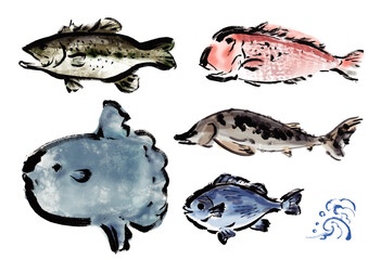 いろいろな手書きの魚の集合　和風筆書きの魚セット