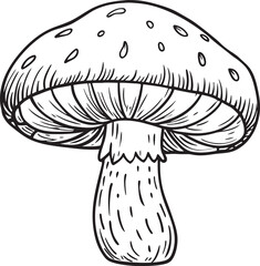 Cute Mushroom Vector for Kids Coloring Pages