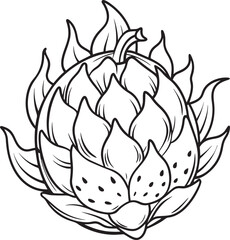 Dragon Fruit Vector for Coloring Pages for Kids