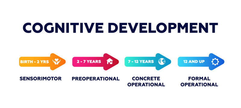 Cognitive development. Intelligence and education process with creative linear thinking and mental vector learning