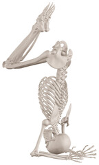 skeleton posing 3d render illustration with transparent background