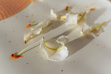 fading white lily with fallen petals, in a vase on the table, ray of light, shadow