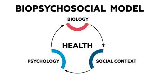 Biopsychosocial model. Psychology of biology and social context with presentation of character types with introverted personal vector perfectionism