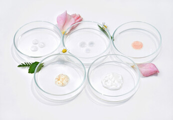 Petri dishes with various kinds of cosmetic products and plants. Natural skin care concept, laboratory research