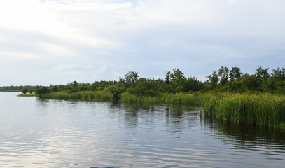 Lake Trafford in South Florida. A large lake with alligators and lots of wildlife and fishing.
