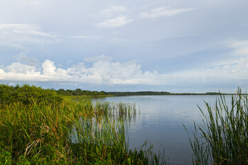 Lake Trafford in South Florida. A large lake with alligators and lots of wildlife and fishing.