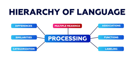 Hierarchy of language diagram. Infographic on similarities and functions with data from ordinal algorithms and comparison instructions with modern vector sequence