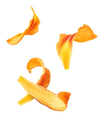 Fototapeta premium Beautiful Orange lily flower falling in the air isolated on white background. High resolution image