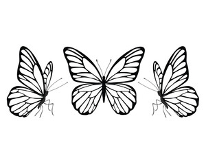 adobe butterfly design.eps