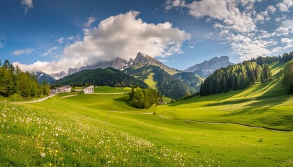 alpine meadow in the mountains