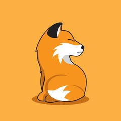 Cute Fox | Kitsune