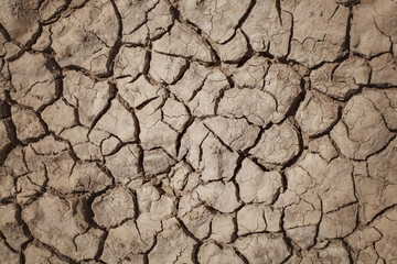 Dry soil texture background. Environment, climate change and global water supplies concept