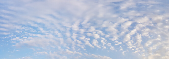 Panoramic blue sky with perfect white clouds