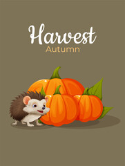 Hedgehog with pumpkin. Autumn pumpkin harvest. Hedgehog design near a pumpkin. Autumn poster with hedgehog and pumpkins