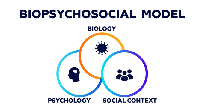 Biopsychosocial model infographic. Psychology of biology and social context with presentation of character types with introverted personal vector perfectionism