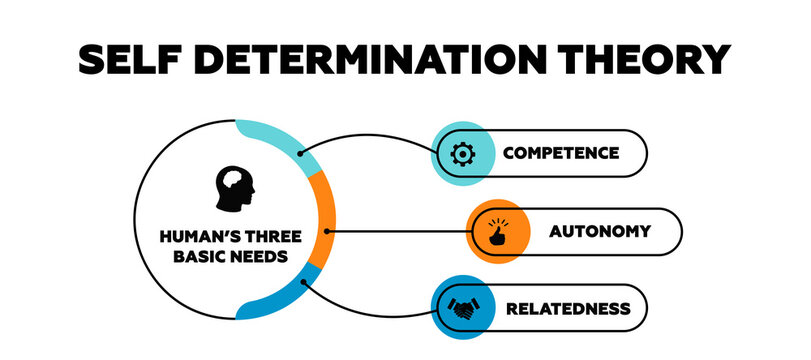 Self determination theory vector graph illustration