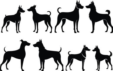 dog vector illustration