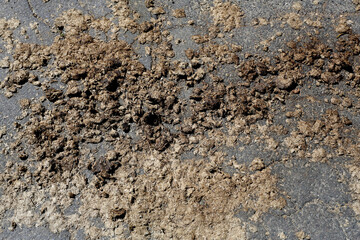 Crottin de cheval