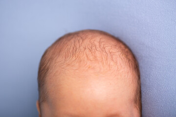 Fototapeta premium Newborn human baby top of little tiny head hair line pate forehead
